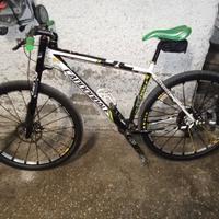 mtb cannondale carbon 29 