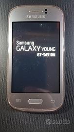 Samsung Galaxy Young GT-S6310N Vintage