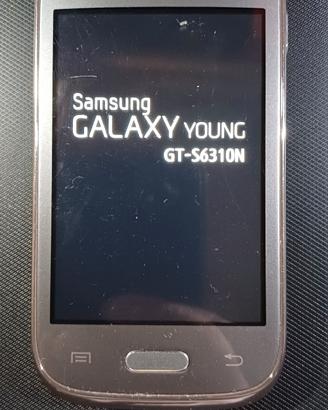 Samsung Galaxy Young GT-S6310N Vintage