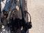 Immagine 4