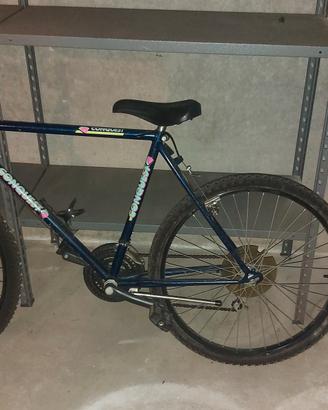MOUNTAIN BIKE 