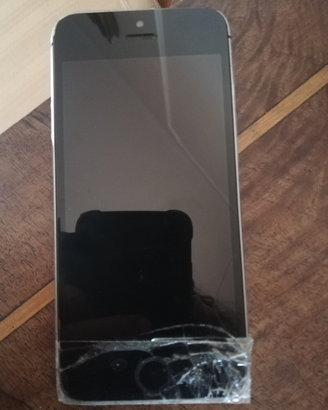 Apple Iphone 5s