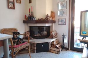 Bilocale 55mq con terrazzo 20mq