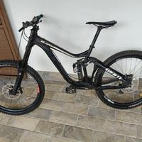 Bici da Downhill 