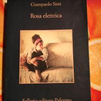 Giampaolo Simi - Rosa Elettrica