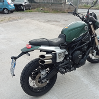 Benelli leoncino 800 anno 2022 km 11 mila