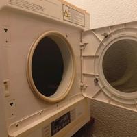 Asciugatrice gas Rinnai