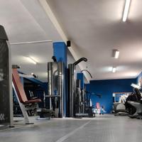 Palestra completa