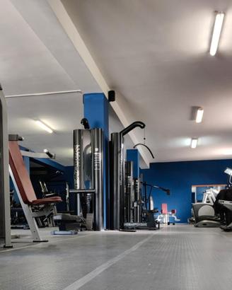 Palestra completa