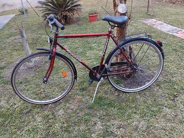 bicicletta da uomo