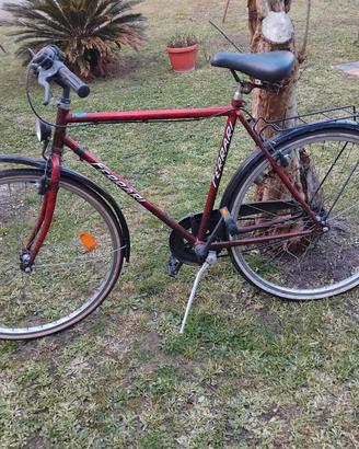 bicicletta da uomo