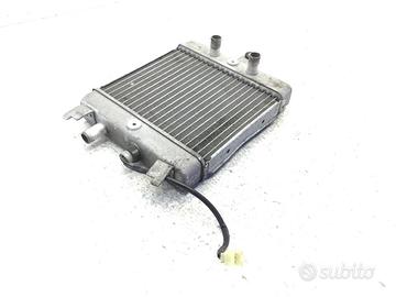 SUZUKI BURGMAN UH 125 RADIATORE ACQUA LIQUIDO RAFF
