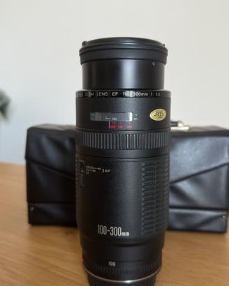 Canon EF 100-300mm f/5.6
