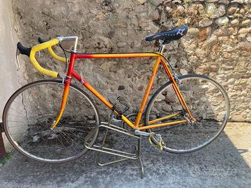 Bicicletta da corsa professionale
