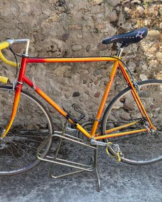 Bicicletta da corsa professionale