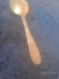 regio esercito posata