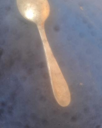 regio esercito posata