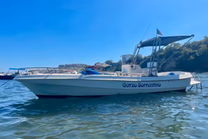 GOZZO LUNA SOREMAR 