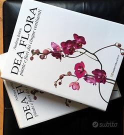 volume DEA FLORA