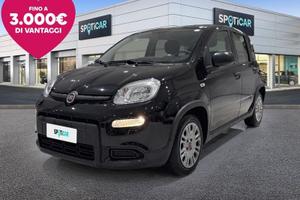 FIAT Panda 1.0 FireFly 70cv S&S Hybrid