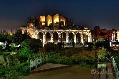 Monolocale "All'Ombra dell'Anfiteatro"