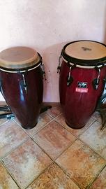 congas