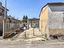 Immagine 7