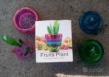 Fruits Plant nuovo € 10.00