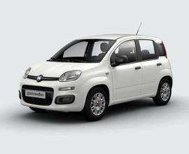 Fiat Panda 1.0 FireFly S&S Hybrid N_oleggio