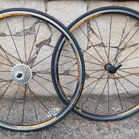 Ruote Mavic Aksium Race
