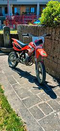 Beta 50 R12 cross