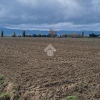 TER. AGRICOLO A SPELLO