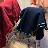 2 Coperte pail cavallo