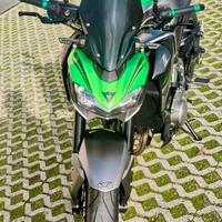 Kawasaki Z900 Performance 2019