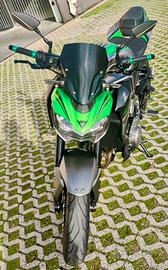 Kawasaki Z900 Performance 2019