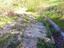 Immagine 13