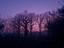 Immagine 12