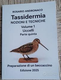 Tassidermia uccelli Preparazione di un beccaccino
