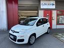 fiat-new-panda-1-2-pop-ok-neopatento-garanzia-perm