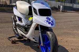 Bws Yamaha Lc Malossi Testarossa