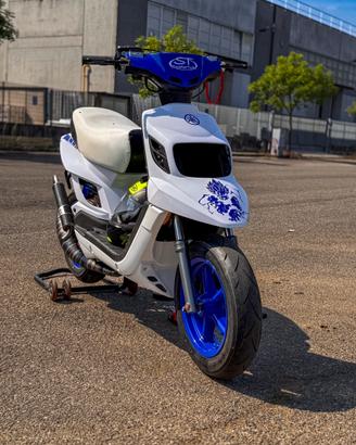Bws Yamaha Lc Malossi Testarossa