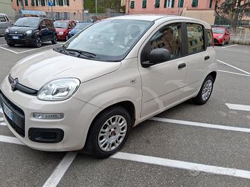 FIAT PANDA 1.2 BENZINA POCHI KM SOLO 54.300