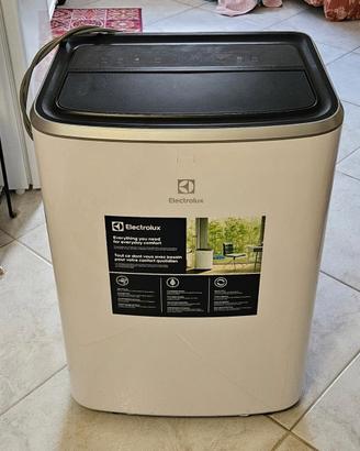 Condizionatore Portatile Electrolux Classe A