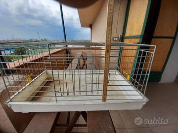 gabbia x coniglio 