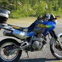 Honda Dominator