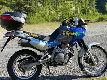 Honda Dominator