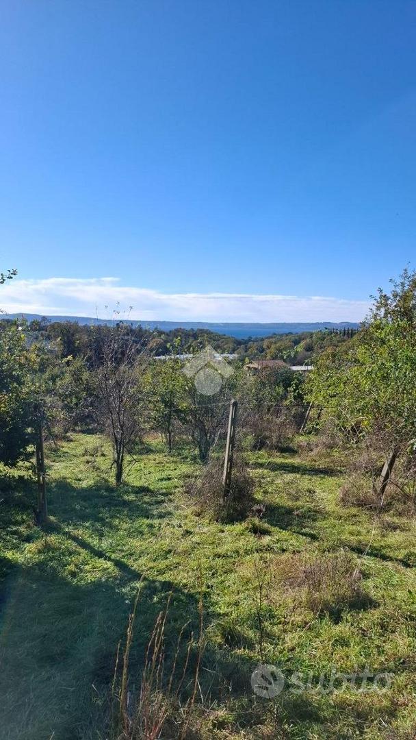 TER. AGRICOLO A TREVIGNANO ROMANO - Vista 4