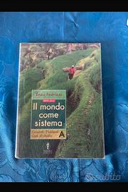 Il mondo come sistema