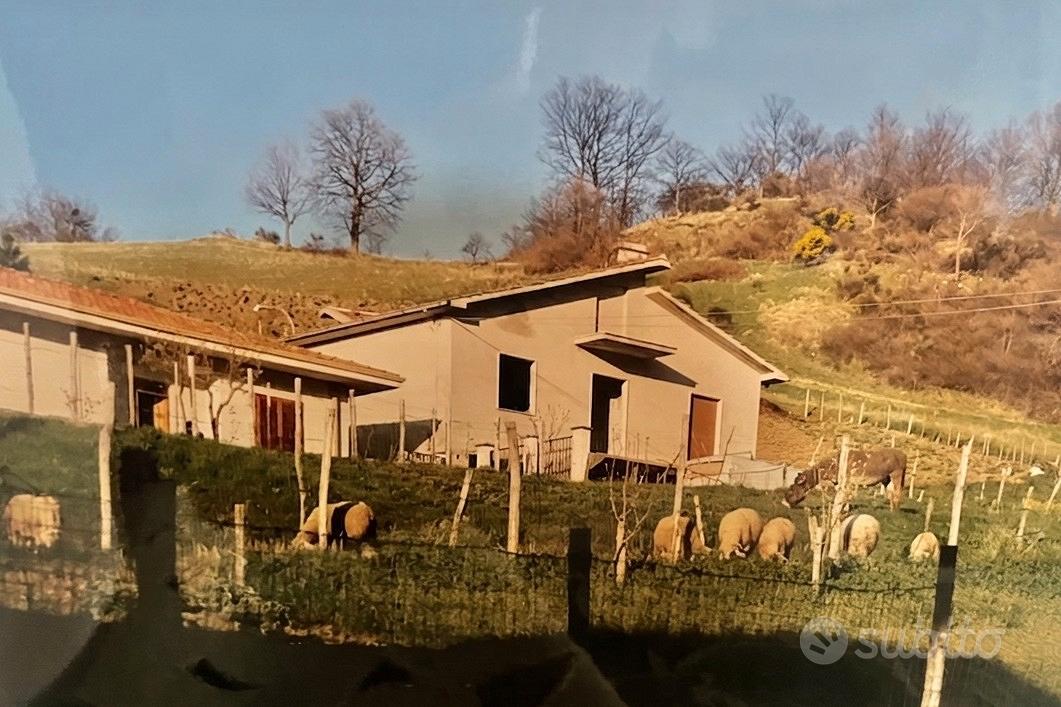 Casa – Viggianello, Potenza - Vista 2