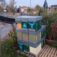 Arniette, melarietti, reti per nuclei e altro..